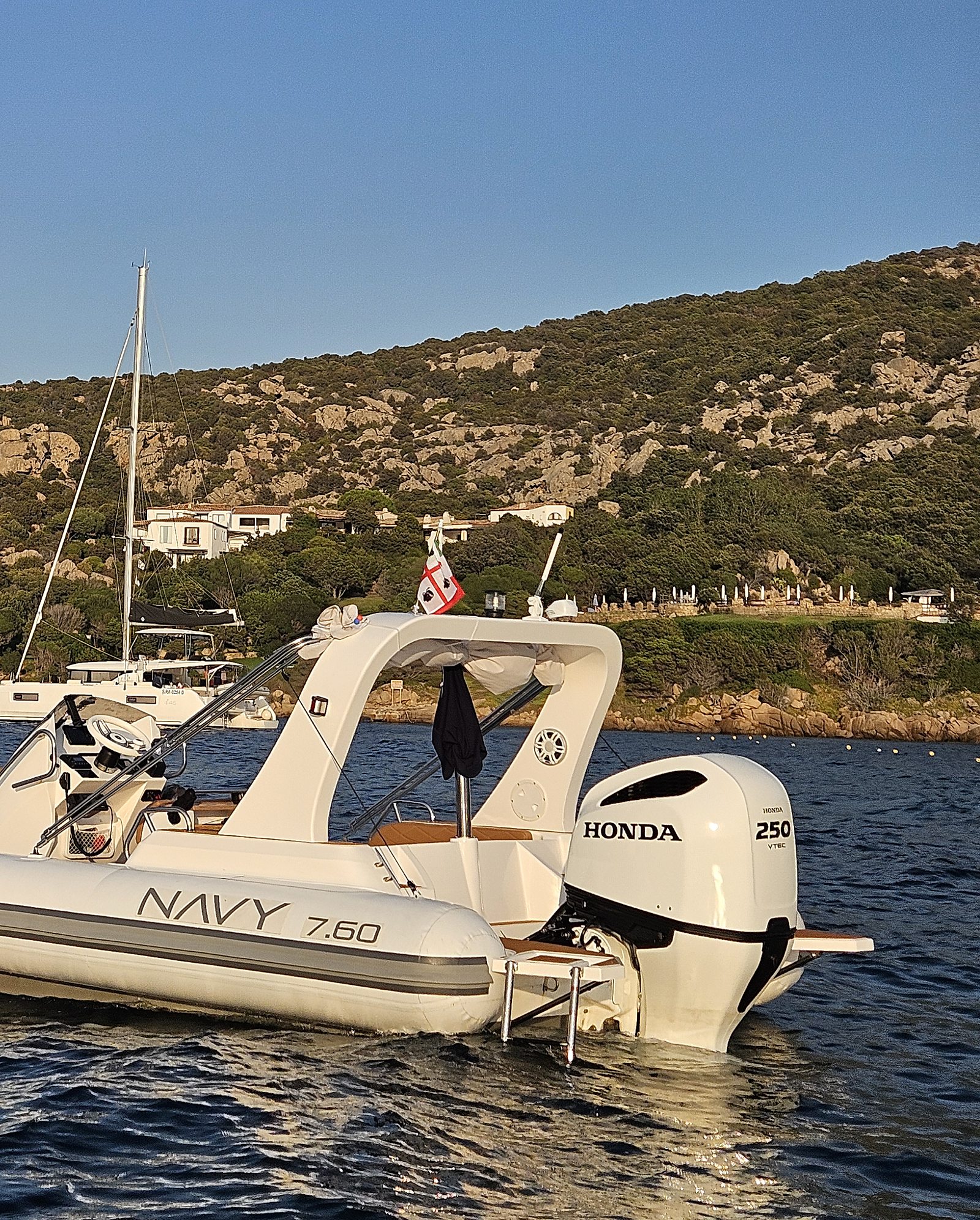 Stern of the NAVY 7.60 with Honda 250, boarding ladder and green hillside, portrait format